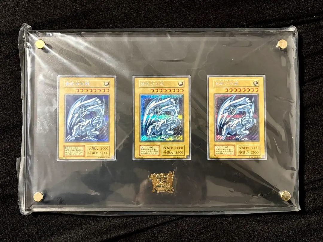 m74847449276_1.jpg?1770101668