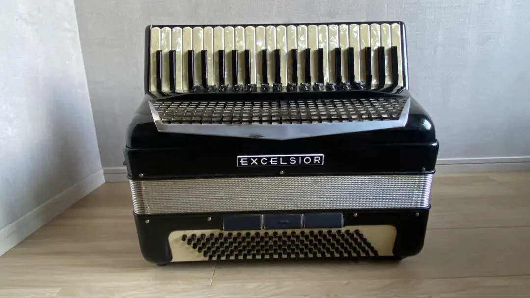 2026年最新】Excelsior 320の人気アイテム - メルカリ