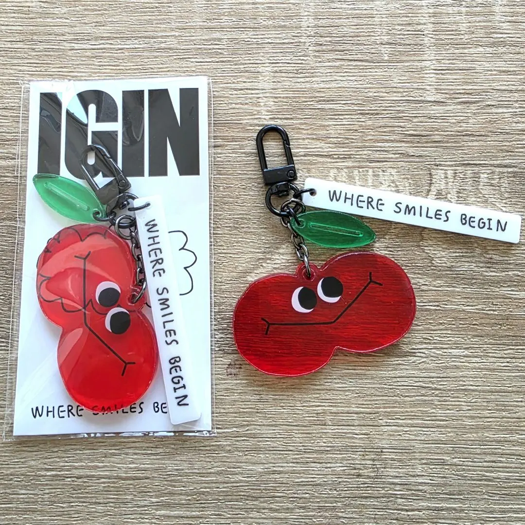 2026年最新】#IGINホリデースペシャルエディションボックスの人気