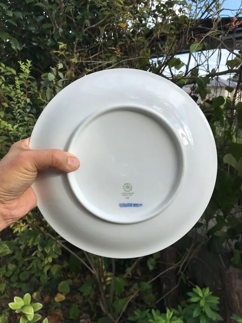 2026年最新】ロイヤルコペンハーゲン ブルーパルメッテ プレート26cmの