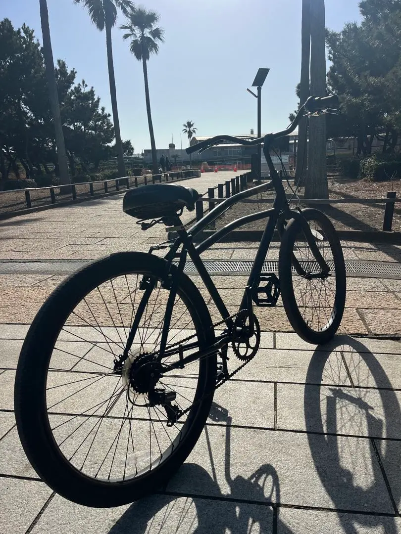 2026年最新】schwinn ビンテージの人気アイテム - メルカリ