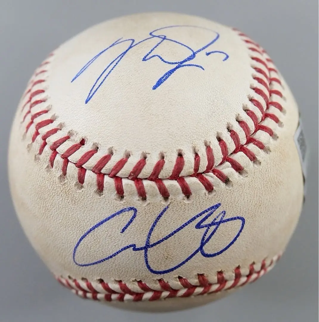 2026年最新】トラウト サインボールの人気アイテム - メルカリ