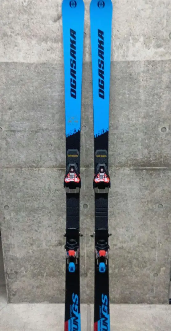 2026年最新】OGASAKA TRIUN GSの人気アイテム - メルカリ