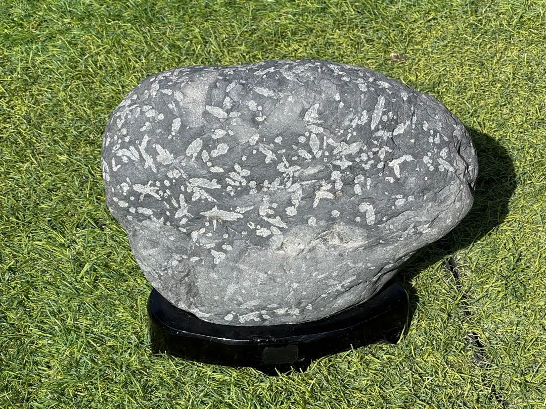 2026年最新】揖斐石の人気アイテム - メルカリ