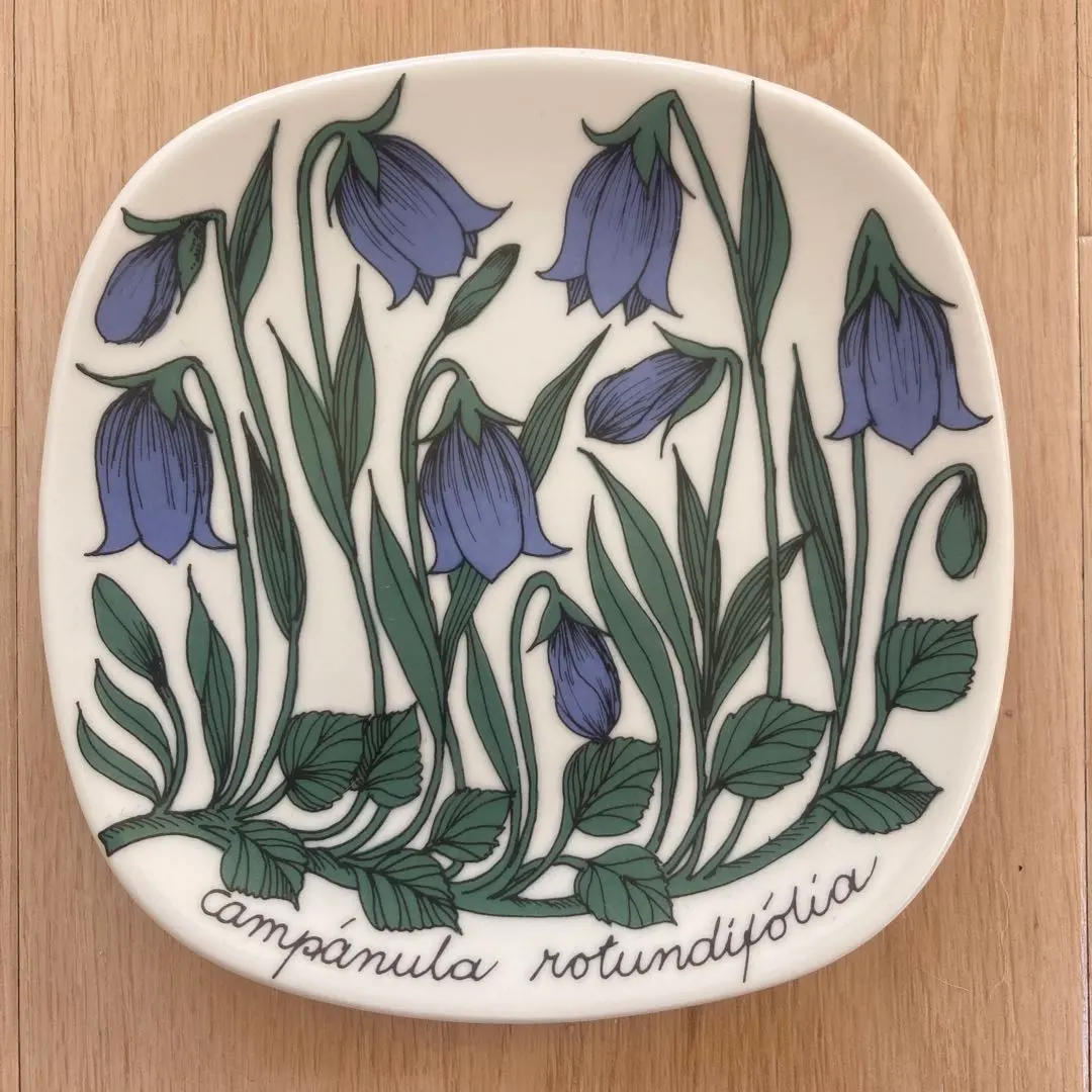 2026年最新】アラビア ボタニカの人気アイテム - メルカリ