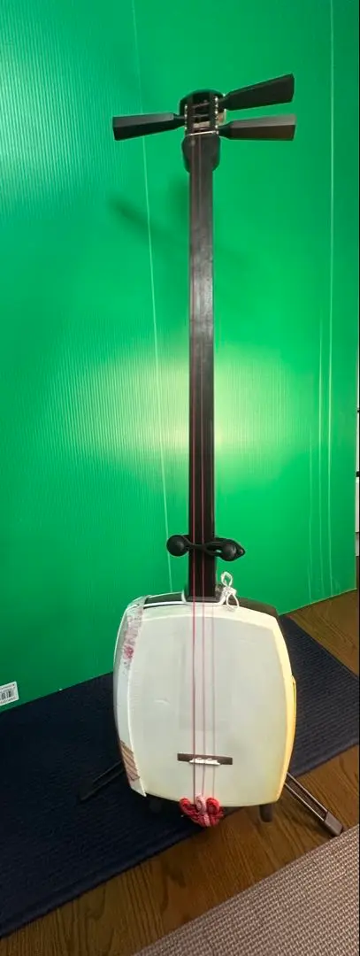 2026年最新】三味線 撥 プラスチック 鼈甲の人気アイテム - メルカリ