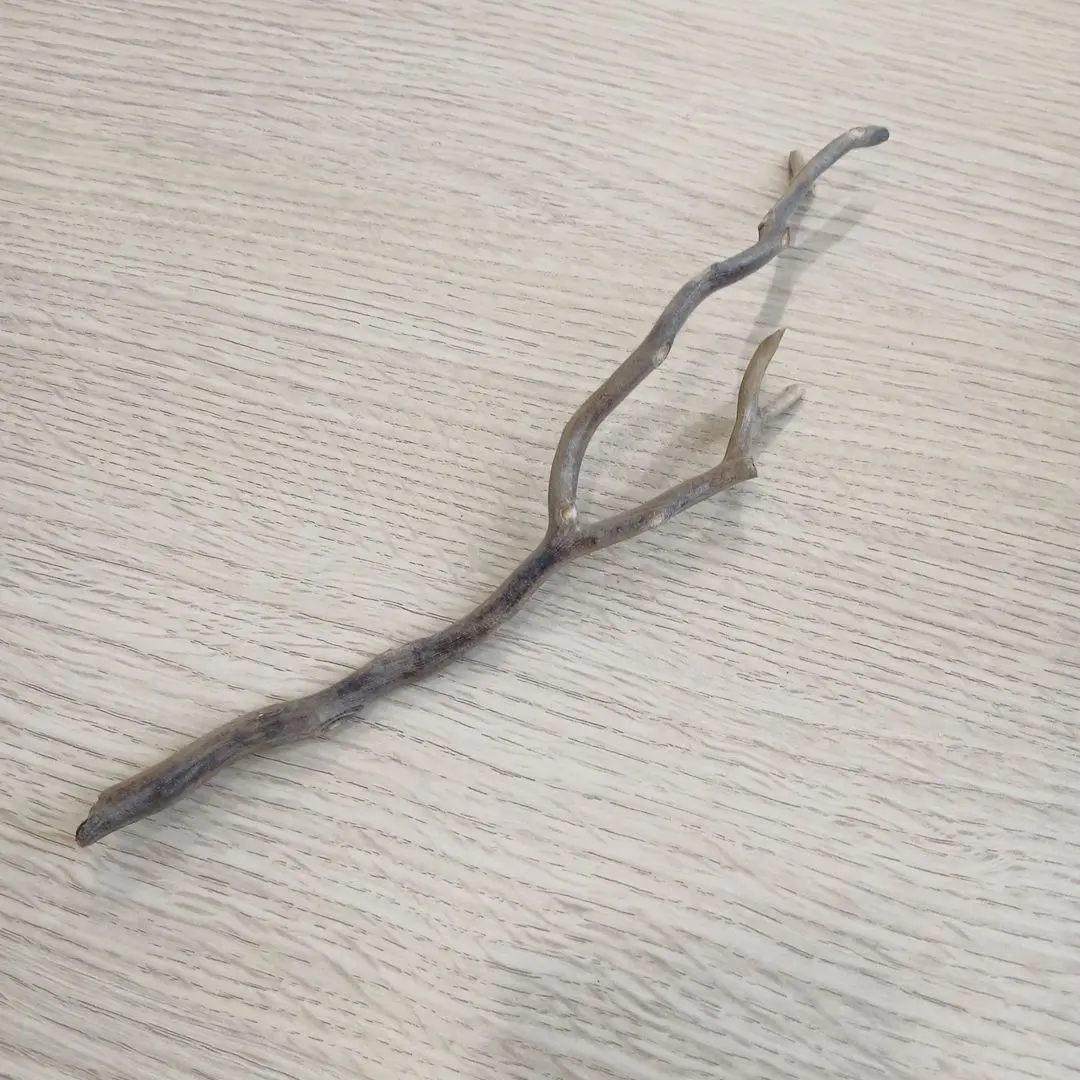 2026年最新】深海松の人気アイテム - メルカリ