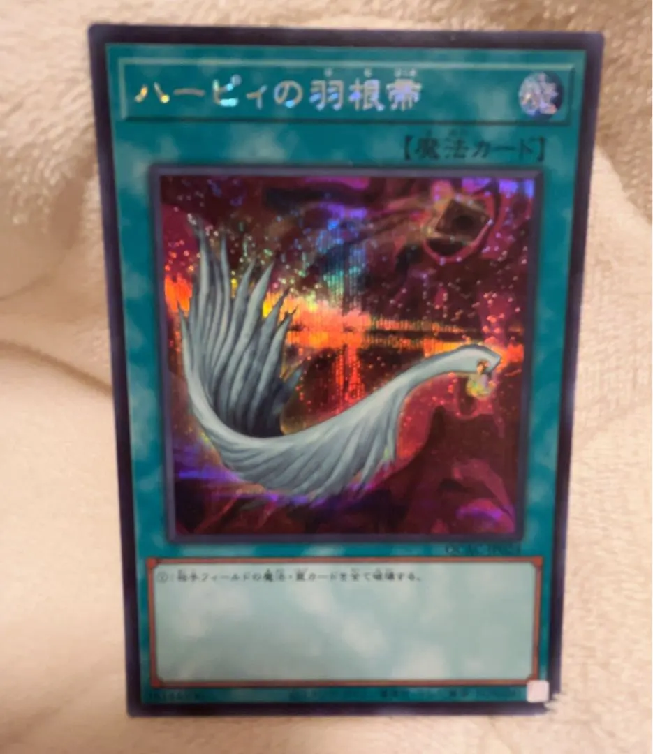 2026年最新】ハーピィの羽根帚 絵違いの人気アイテム - メルカリ