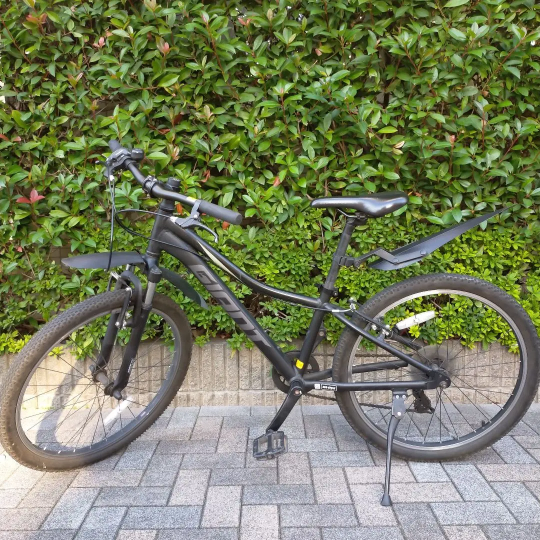 2026年最新】ジャイアント GIANT XTCの人気アイテム - メルカリ