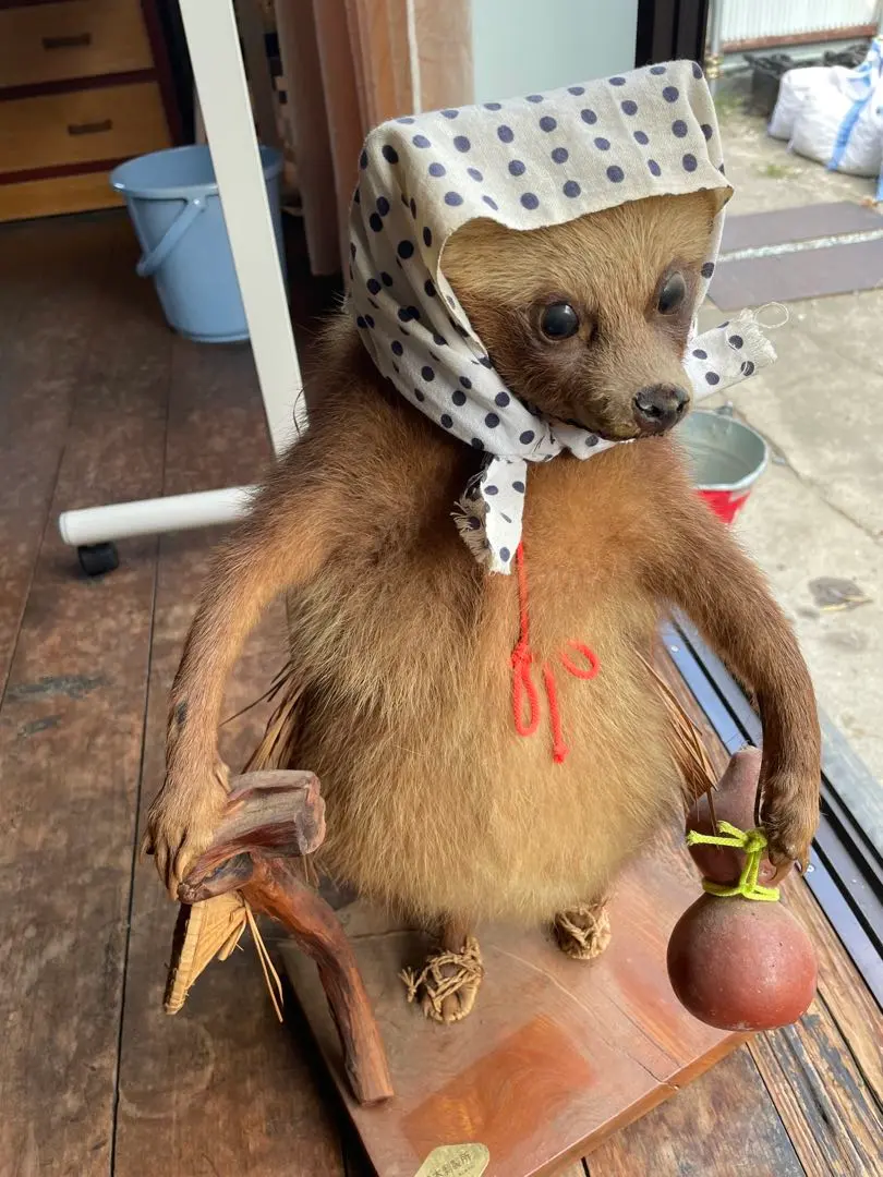 2026年最新】剥製 たぬきの人気アイテム - メルカリ