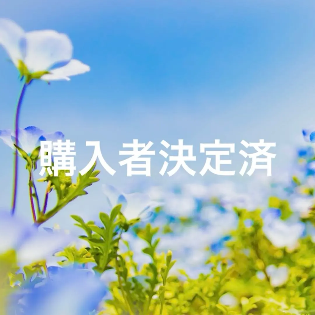 2026年最新】トゥルースリーパープレミアム ダブルの人気アイテム