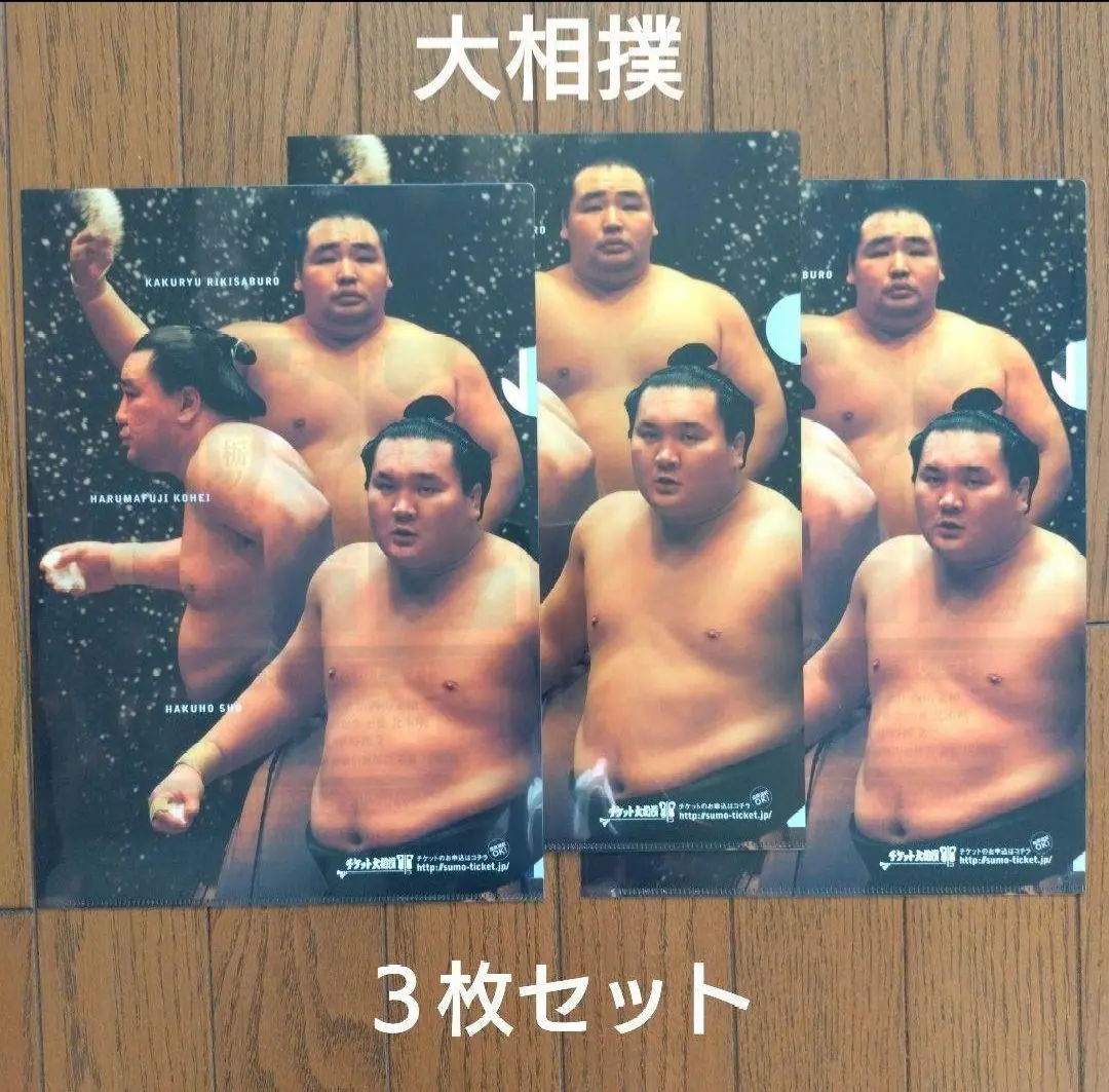 2026年最新】豪栄道の人気アイテム - メルカリ