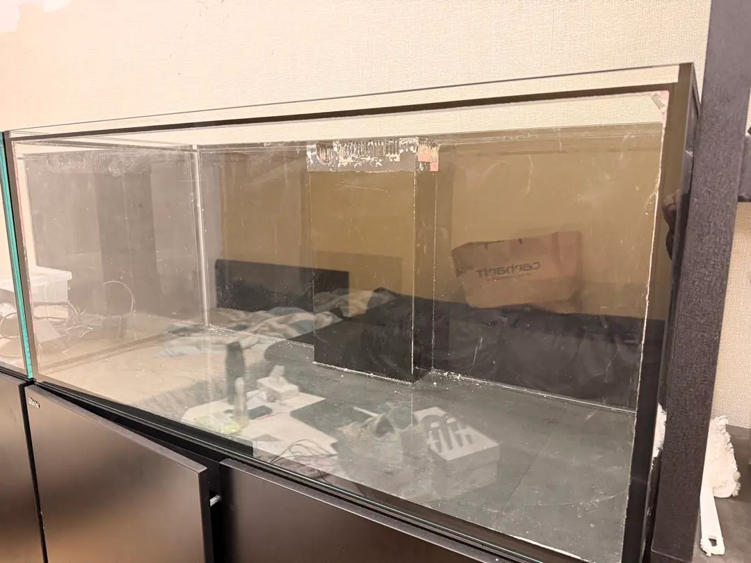 2026年最新】reefer 水槽の人気アイテム - メルカリ