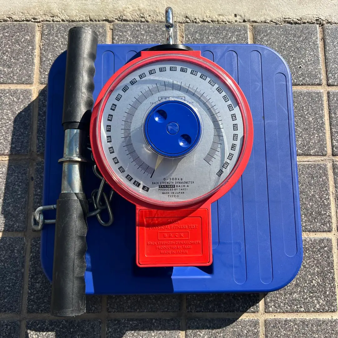 2026年最新】アナログ背筋計の人気アイテム - メルカリ