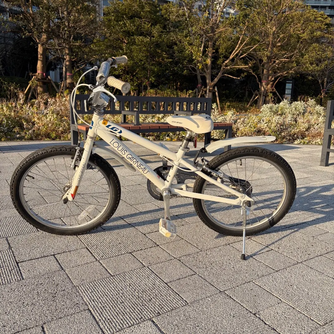 2026年最新】ルイガノ 20インチの人気アイテム - メルカリ