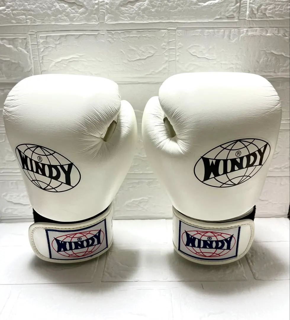 2026年最新】windy ウィンディ パンチンググローブの人気アイテム