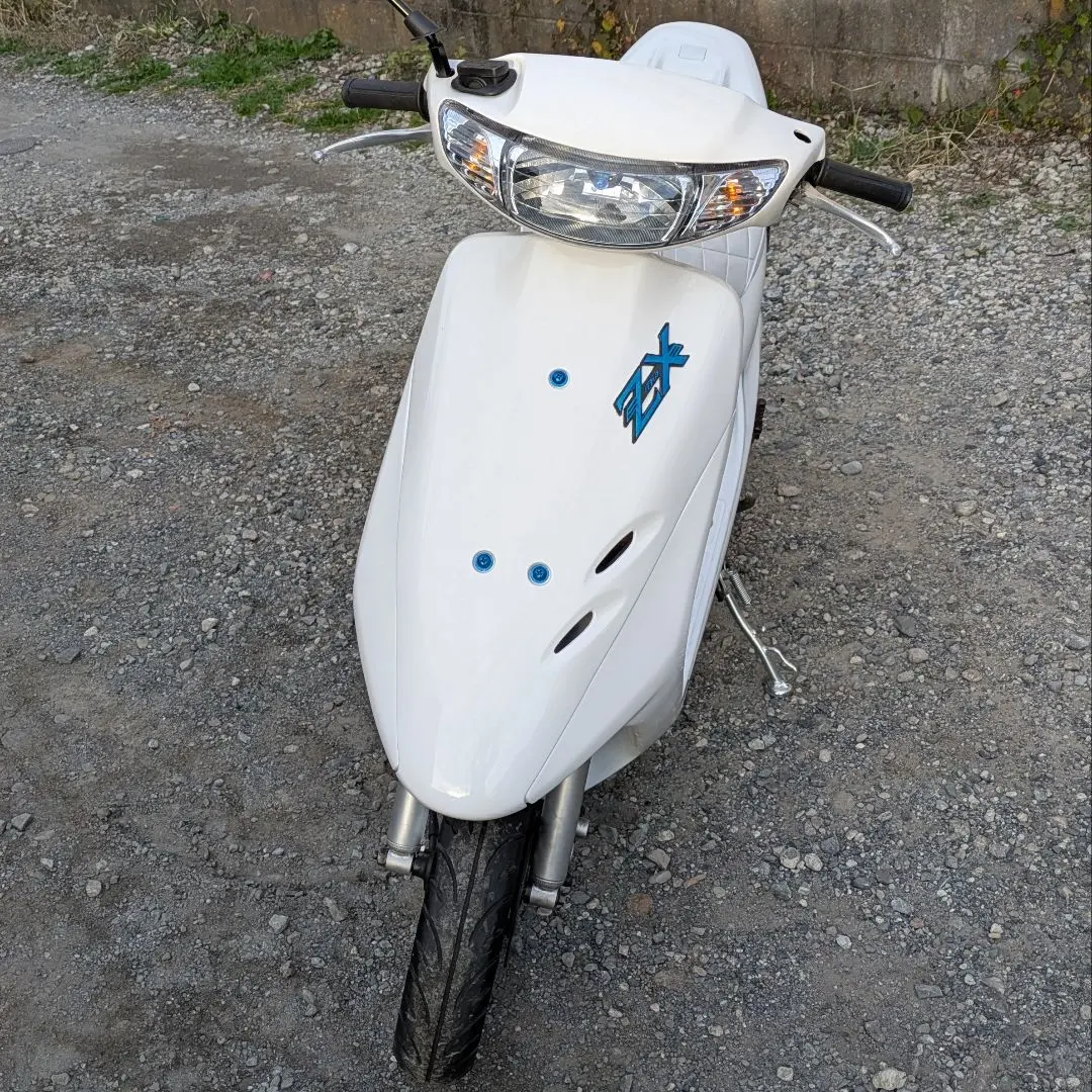 m89629305244_1.jpg?1763880812