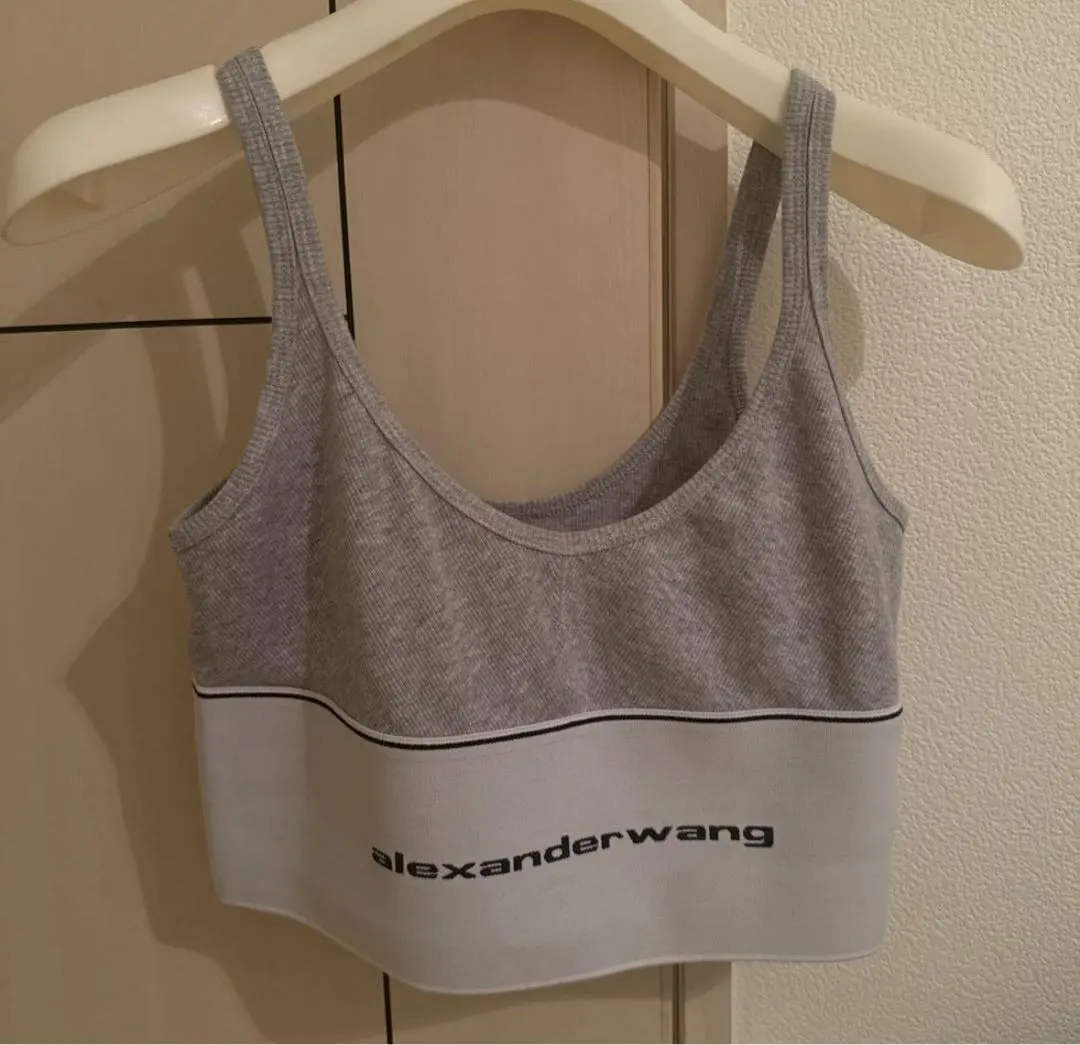 2026年最新】alexander wang ブラトップの人気アイテム - メルカリ