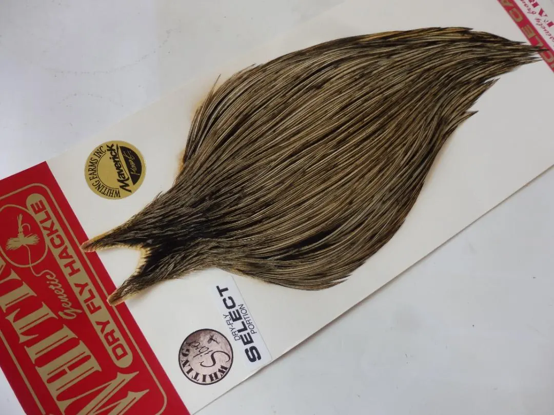 2026年最新】whiting hackleの人気アイテム - メルカリ