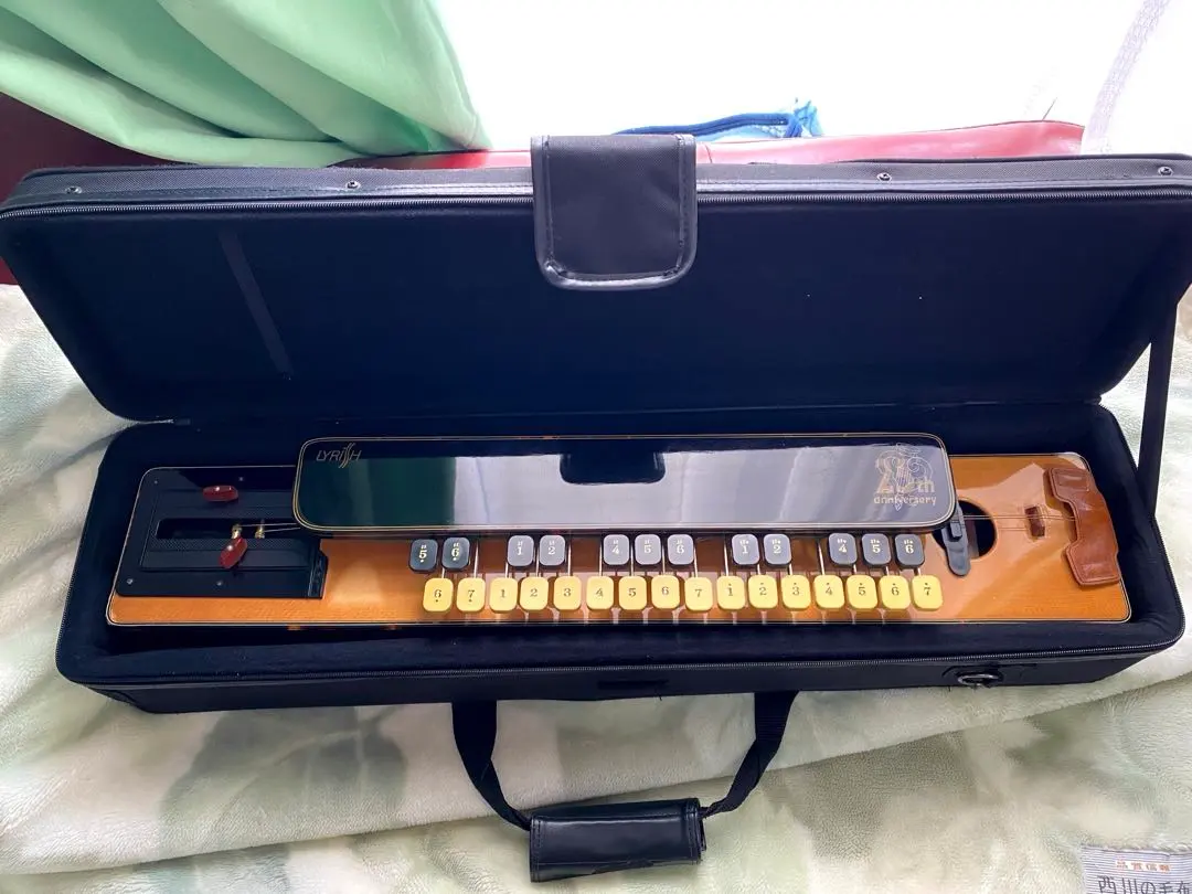 2026年最新】大正琴 ライリッシュの人気アイテム - メルカリ