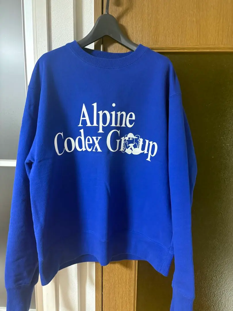 2026年最新】alpine codex groupの人気アイテム - メルカリ