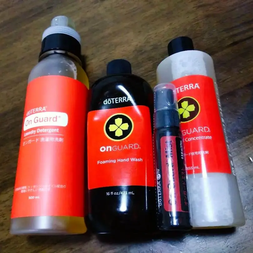 2026年最新】オンガードランドリーデタージェントの人気アイテム