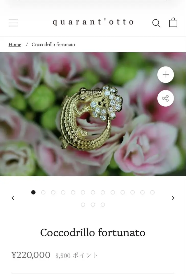 2026年最新】クアラントット ピアスの人気アイテム - メルカリ