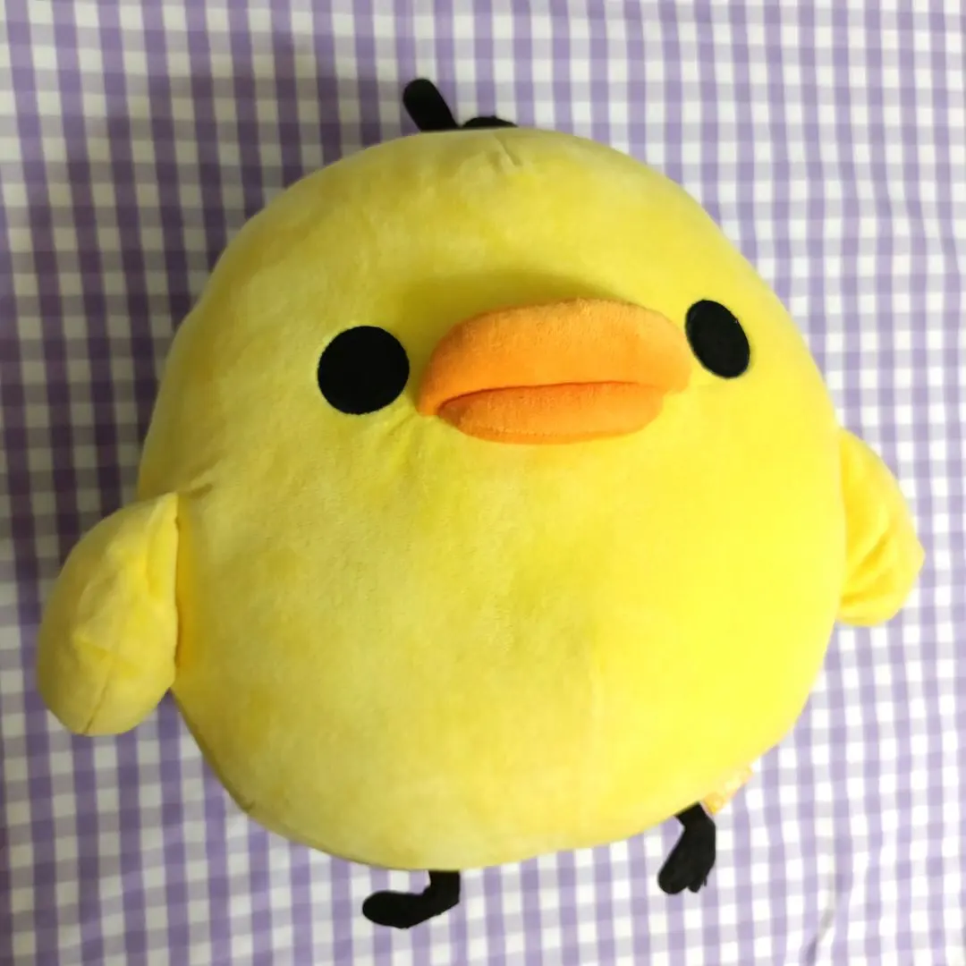 2026年最新】キイロイトリ yellow blackの人気アイテム - メルカリ