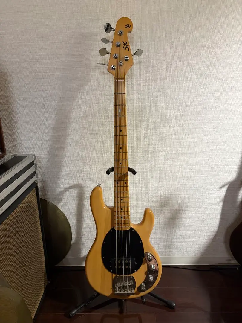 2026年最新】スティングレイ sxの人気アイテム - メルカリ