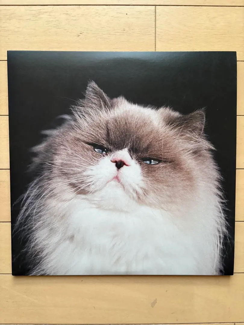 2026年最新】カネコアヤノ 燦々 レコードの人気アイテム - メルカリ