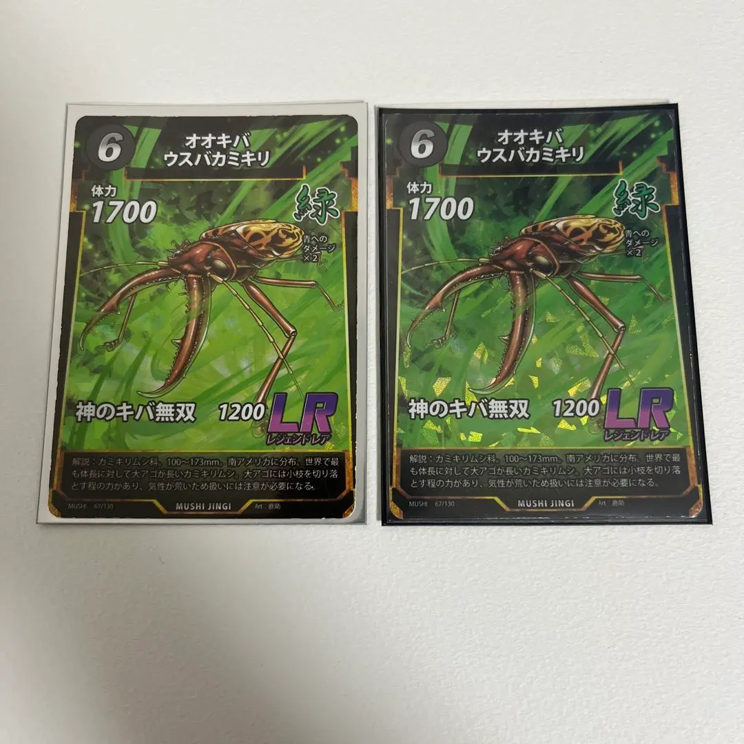 2026年最新】オオキバウスバカミキリ 標本の人気アイテム - メルカリ