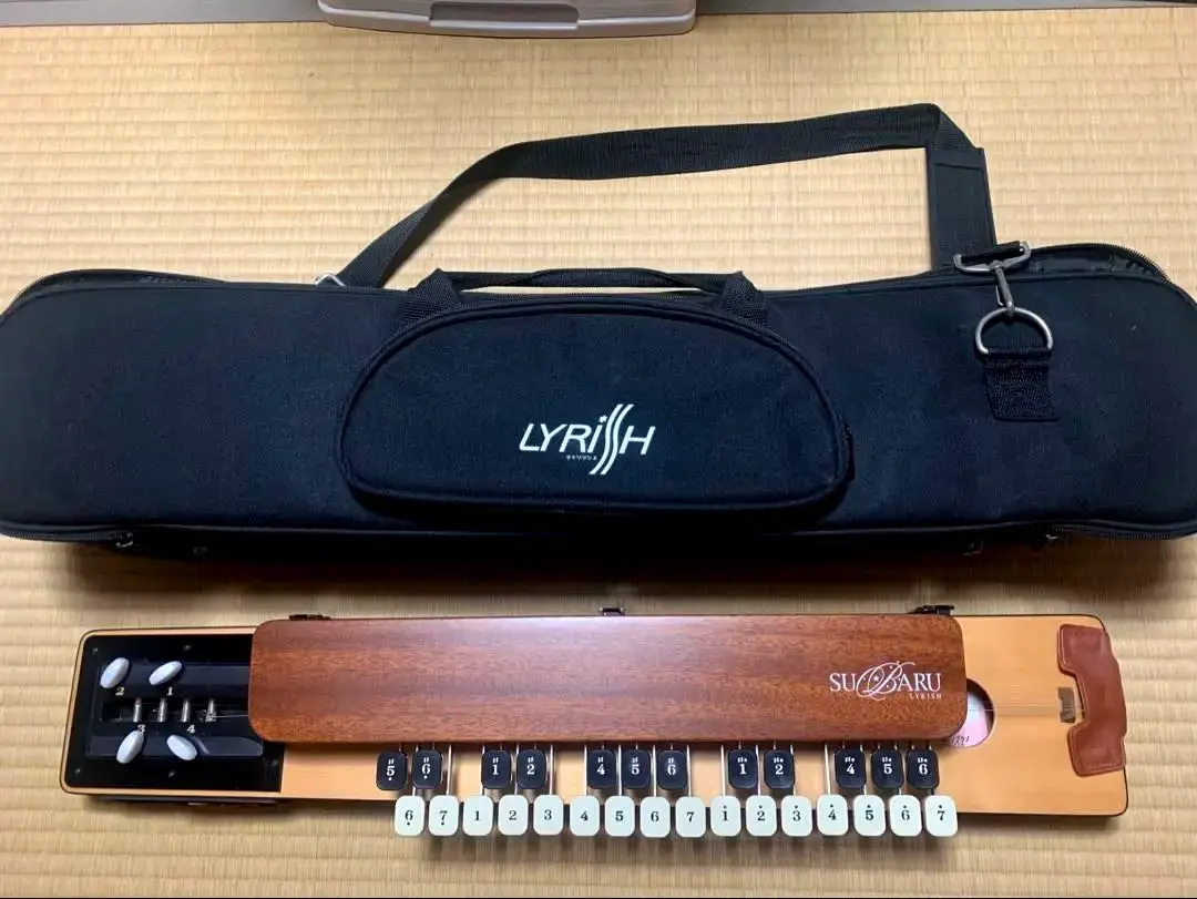 2026年最新】ライリッシュ大正琴の人気アイテム - メルカリ