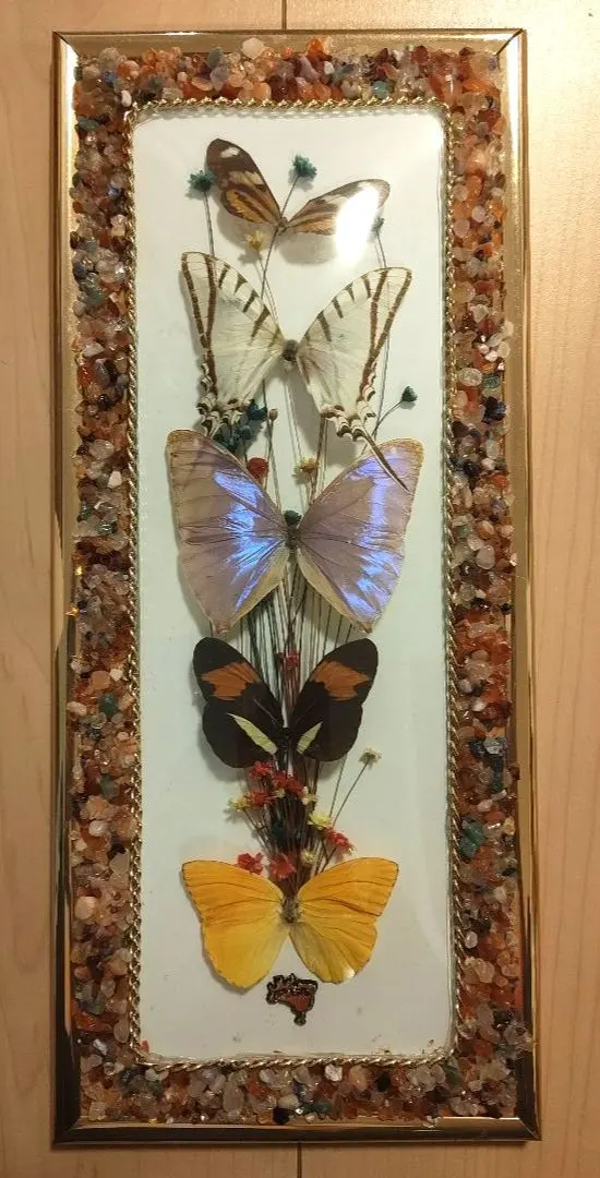 2026年最新】ブラジルモルフォ蝶壁掛けの人気アイテム - メルカリ