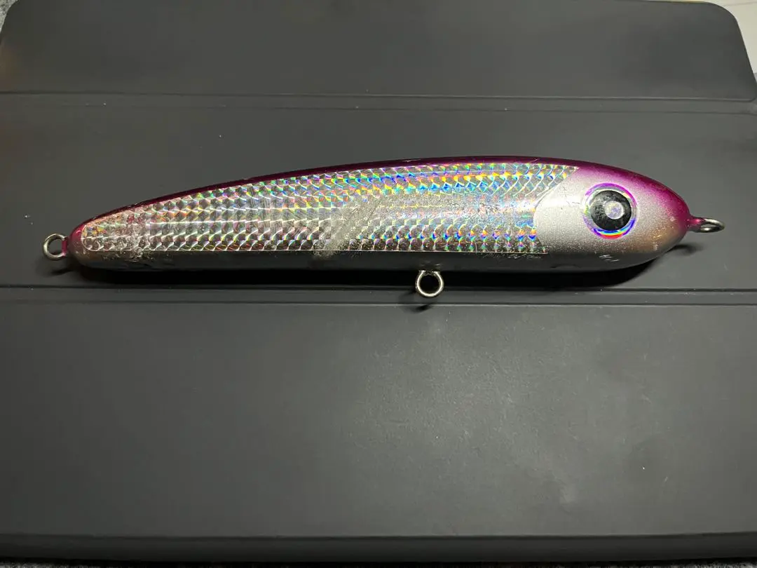 2026年最新】パドルベイト165の人気アイテム - メルカリ