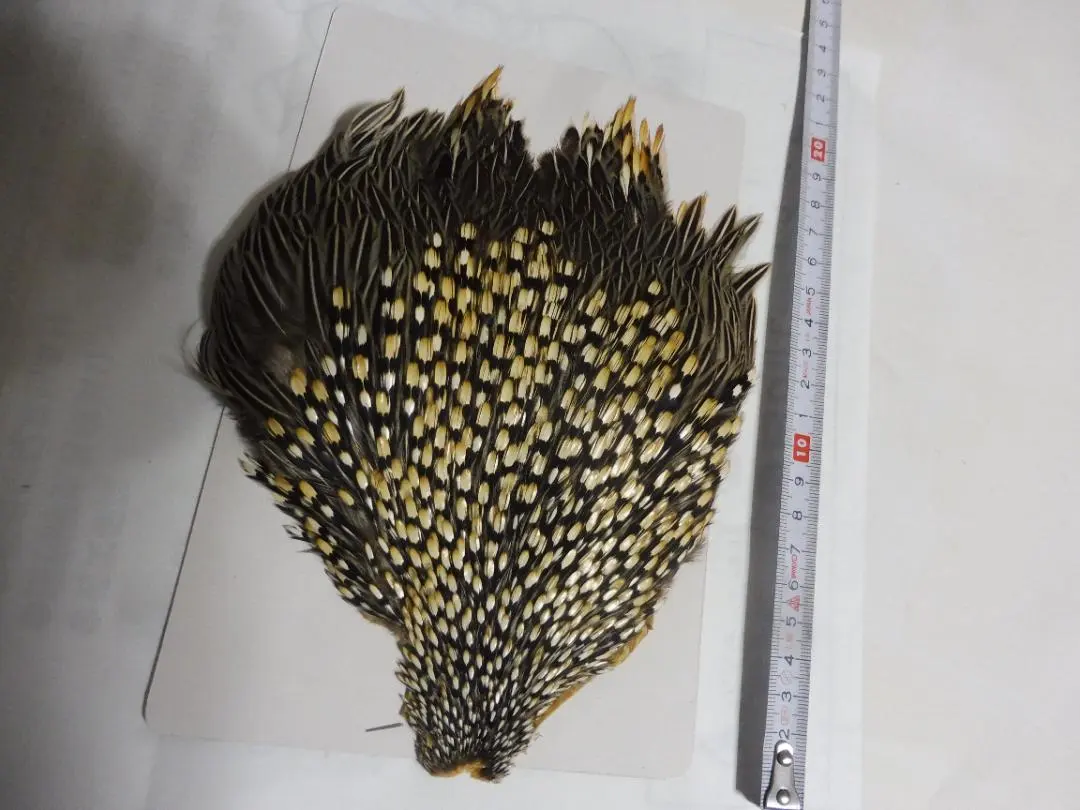 2026年最新】ジャングルコックの人気アイテム - メルカリ