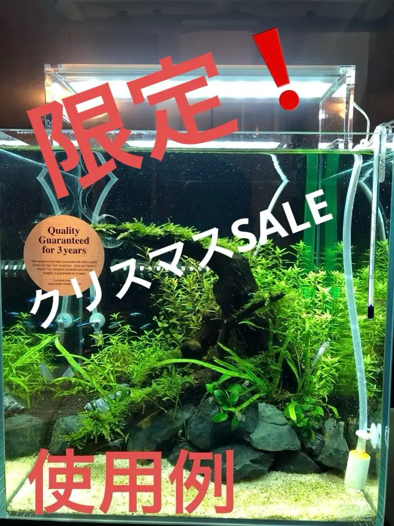 2026年最新】ada アクアスカイ301の人気アイテム - メルカリ