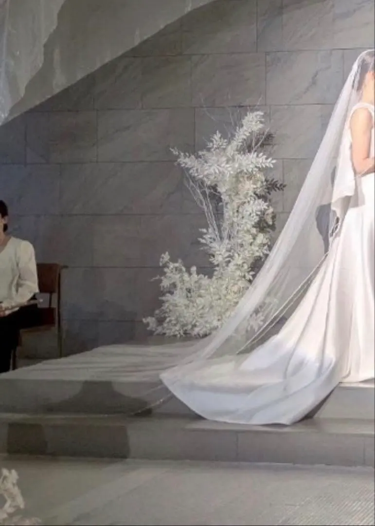 2026年最新】タカミブライダル ロングベール ラメの人気アイテム