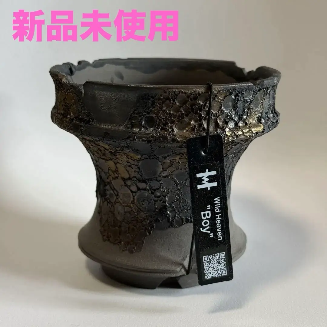 2026年最新】ワイルドヘブン 鉢の人気アイテム - メルカリ