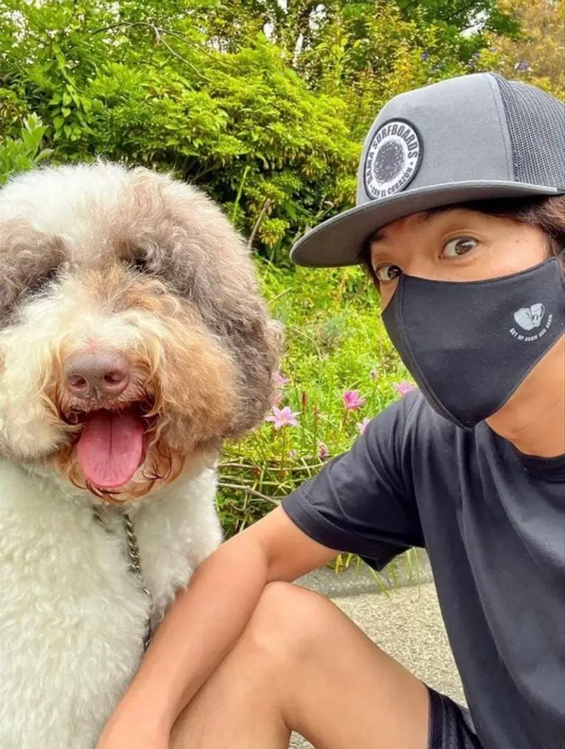 2026年最新】dama surfboardsの人気アイテム - メルカリ