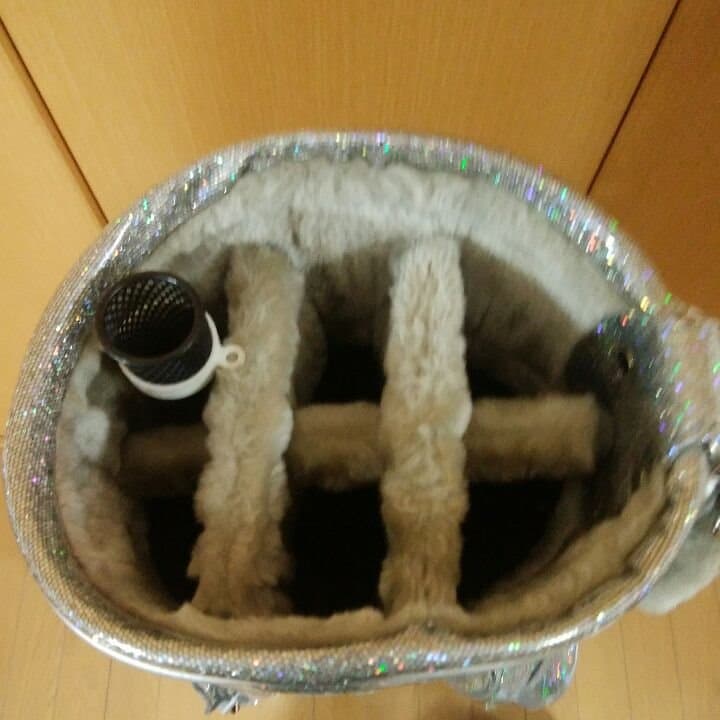 ゴルフキャディバッグ　シューズケース、バッグ付き
