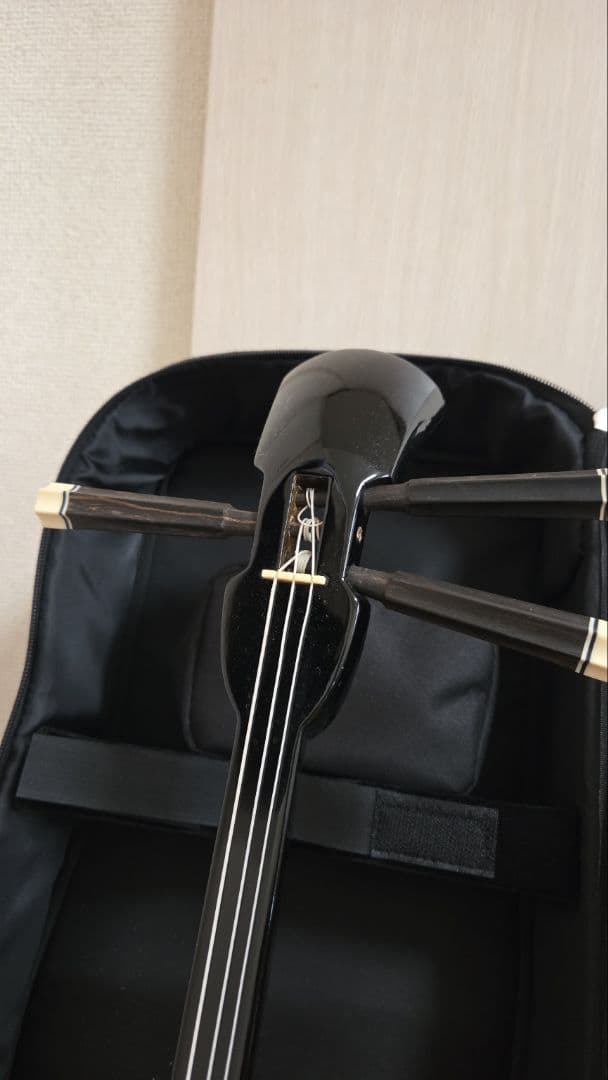 三線セット ヘビ皮 ケース付きの通販はau PAY マーケット - 輸入雑貨の