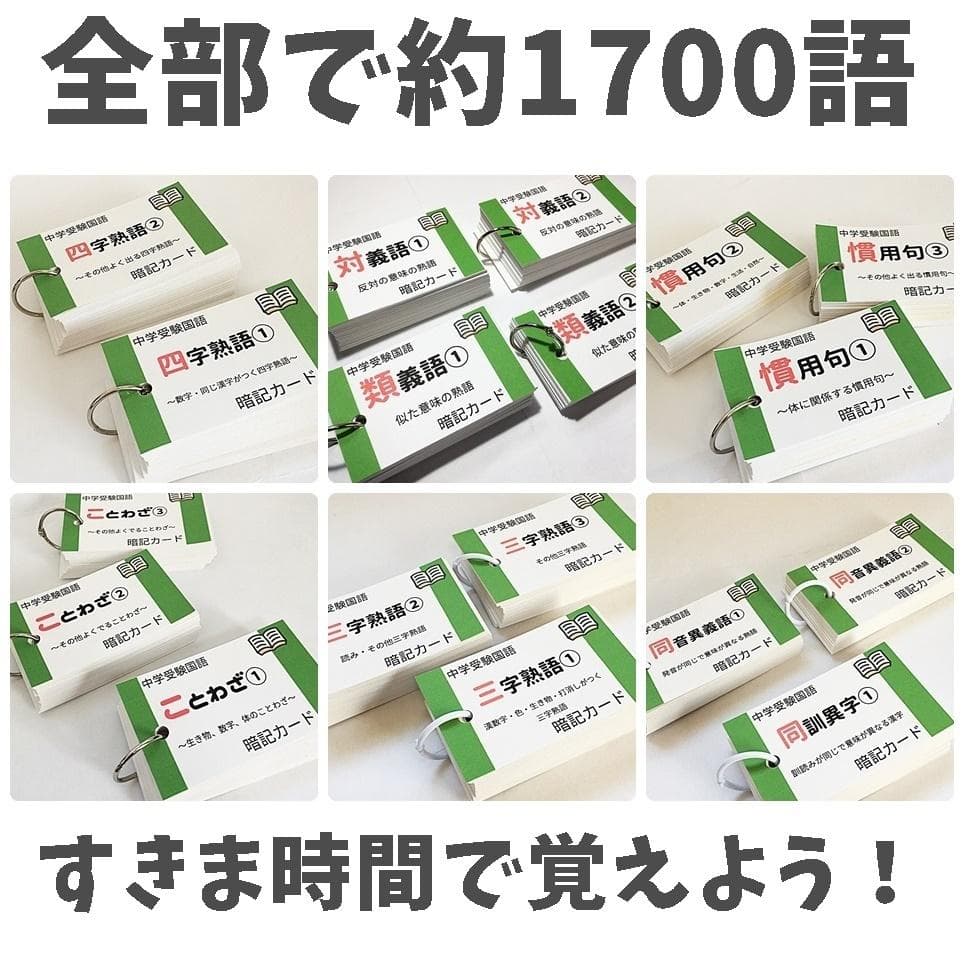 ❗️31日まで10%割引【069】中学受験国語の重要語句セット　サピックス