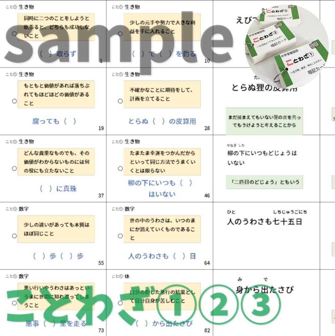 ❗️31日まで10%割引【069】中学受験国語の重要語句セット　サピックス