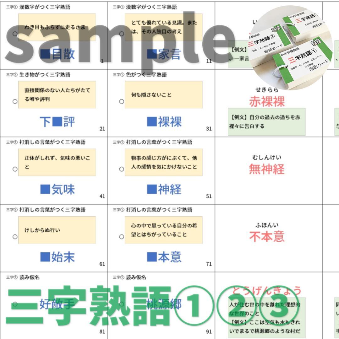 ❗️31日まで10%割引【069】中学受験国語の重要語句セット　サピックス