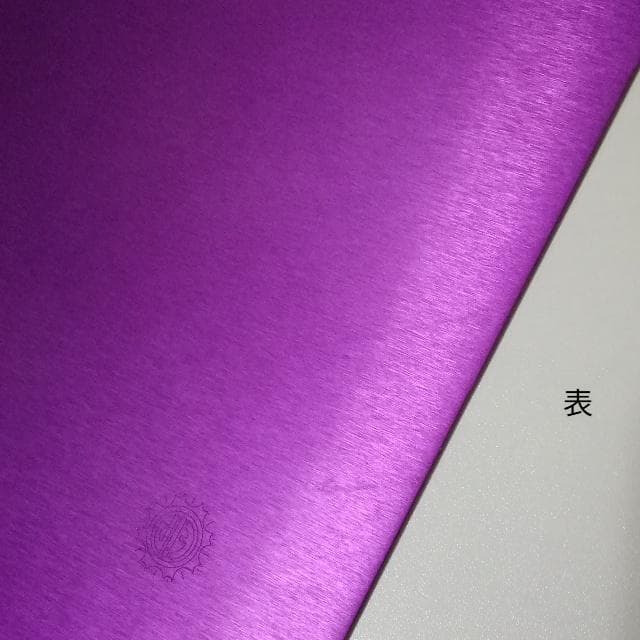 ニコラ・テスラ ポジティブエナジー・パープルプレート L 電磁波対策