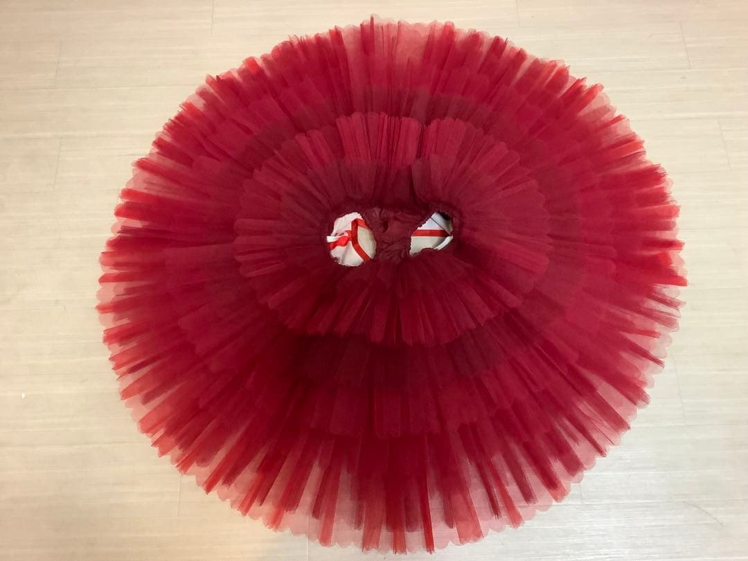 チュチュボン(練習用スカート)