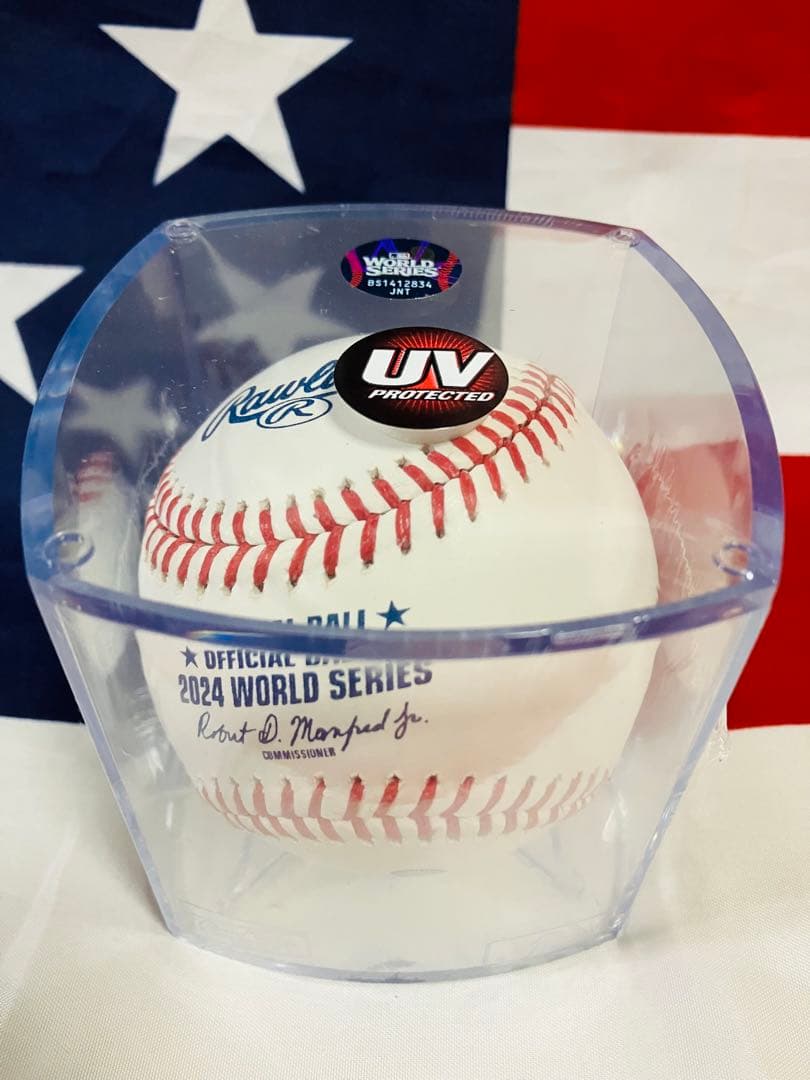 2024 ワールシリーズ 試合球 公式球 ボール ケース入り 新品未開封