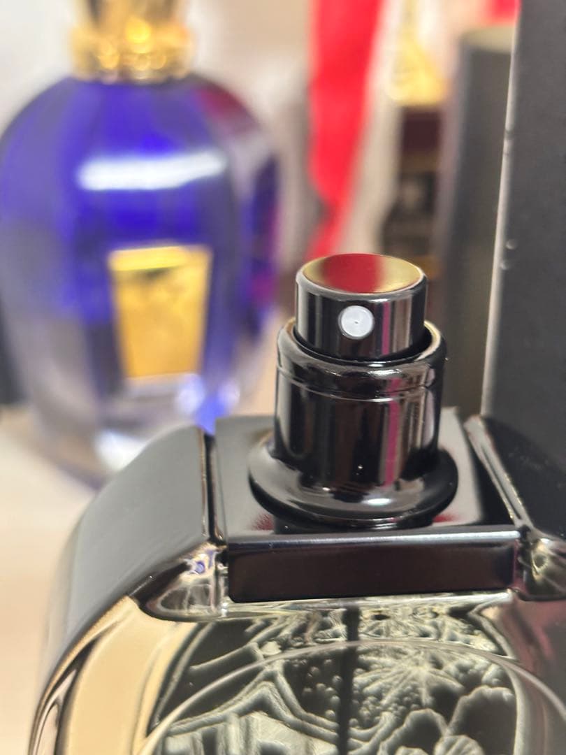 国内正規品✨diptyque ドソン75ml