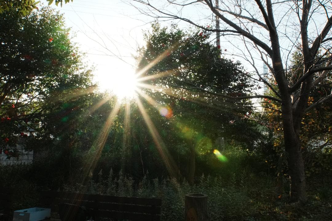 レンズ交換から解放される1本 SONY SEL18200LE 美品