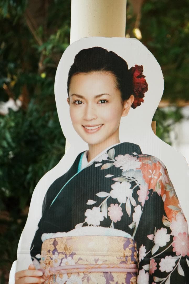 レンズ交換から解放される1本 SONY SEL18200LE 美品